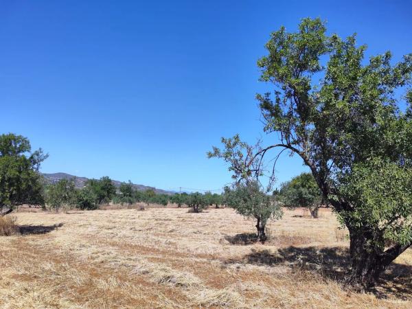 Terreno en tasoiladeros, 1