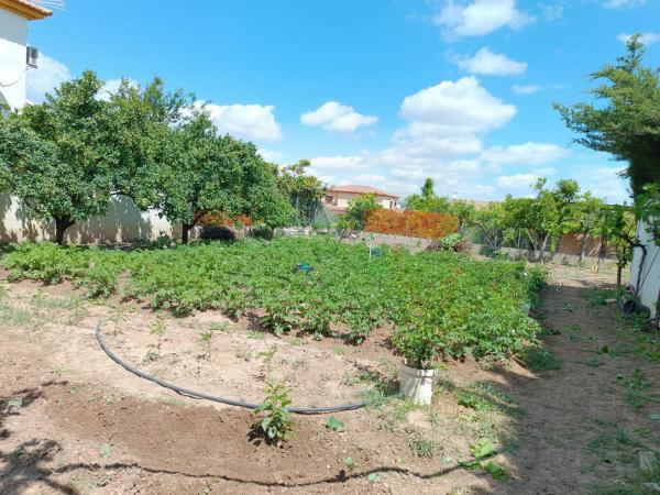 Terreno en Los llanos, polígono 7, parcela 65, 65