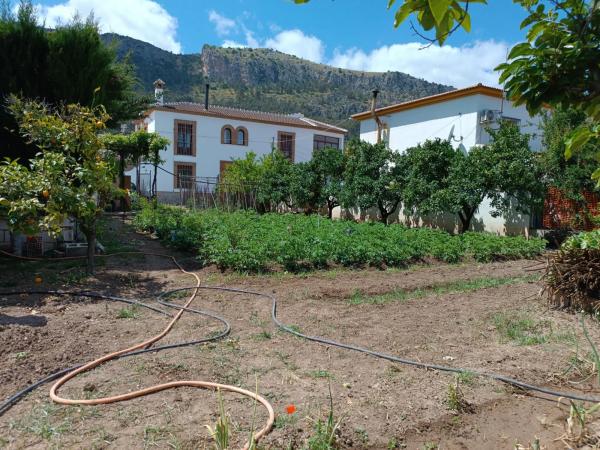 Terreno en Los llanos, polígono 7, parcela 65, 65