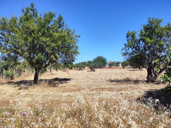 Terreno en tasoiladeros, 1