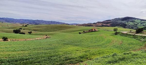 Terreno en Villanueva de la Concepcion