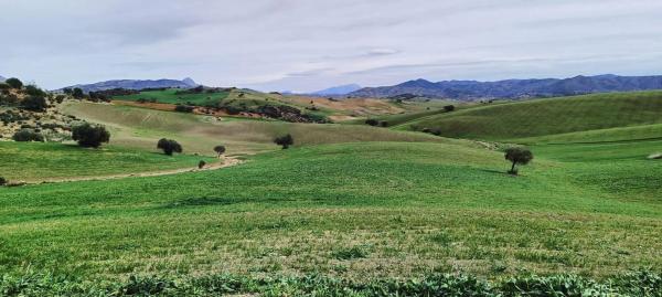 Terreno en Villanueva de la Concepcion