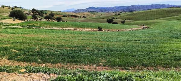 Terreno en Villanueva de la Concepcion