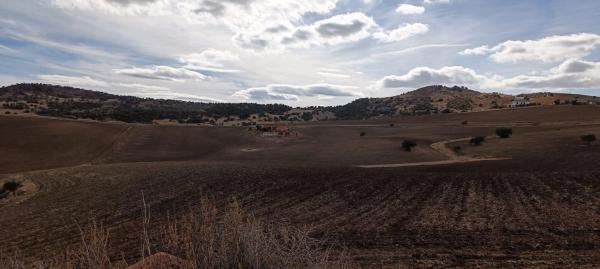 Terreno en Villanueva de la Concepcion