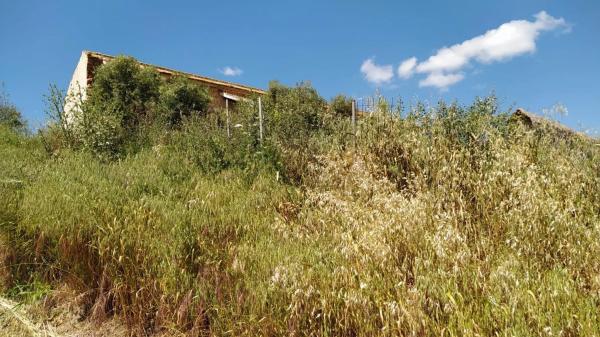 Terreno en Villanueva de la Concepcion