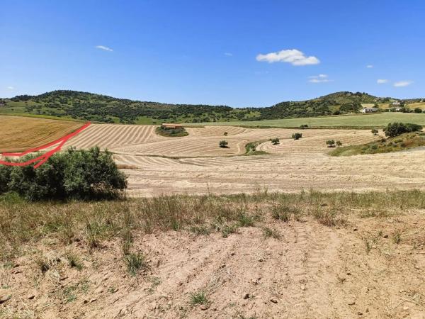 Terreno en Villanueva de la Concepcion