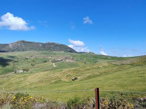 Terreno en carril de la Resinera, 60