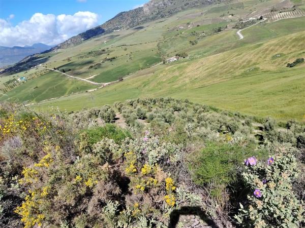 Terreno en carril de la Resinera, 60