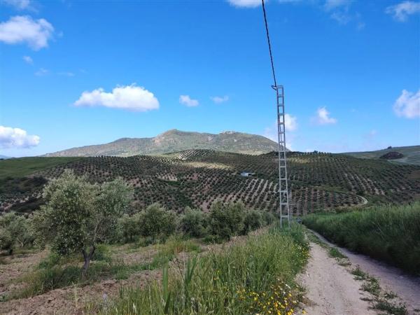 Terreno en carril de la Resinera, 60