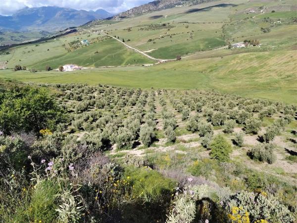 Terreno en carril de la Resinera, 60