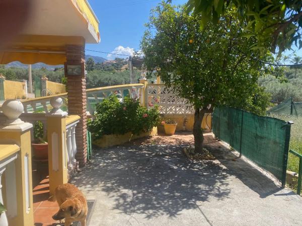 Terreno en camino Diseminado Entrerrios