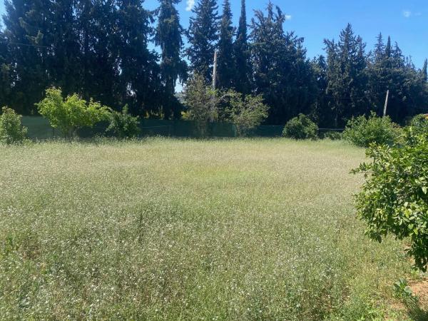 Terreno en camino Diseminado Entrerrios