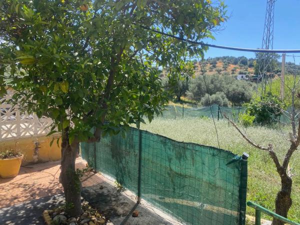 Terreno en camino Diseminado Entrerrios