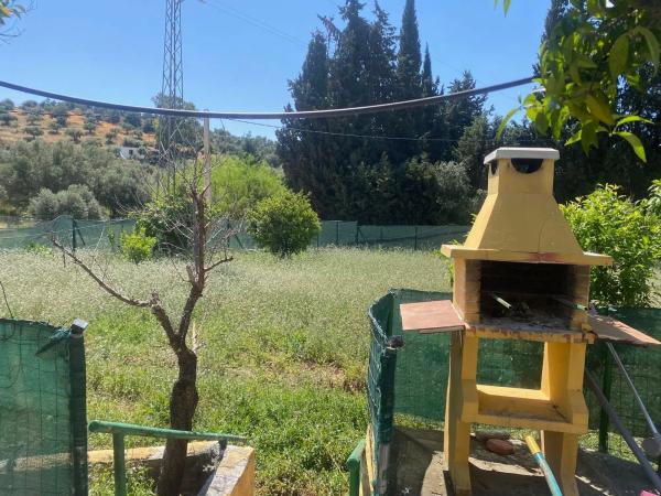 Terreno en camino Diseminado Entrerrios