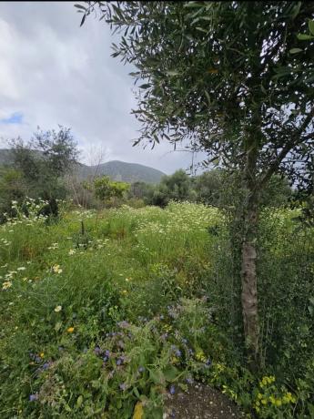 Terreno en Cártama pueblo