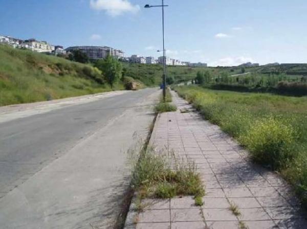 Terreno en camino Ancho