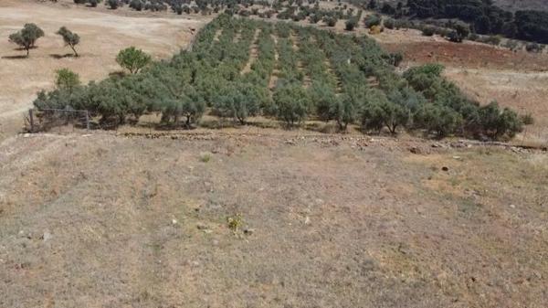 Terreno en parque eolico puerto malaga, 21