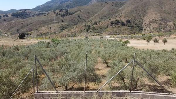 Terreno en parque eolico puerto malaga, 21