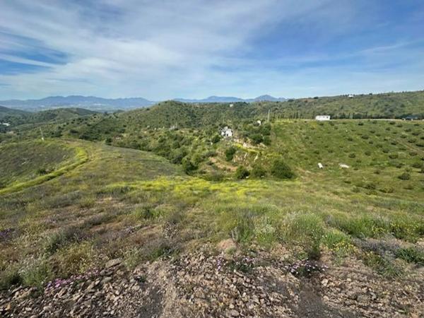 Terreno en las tres cruces, 19