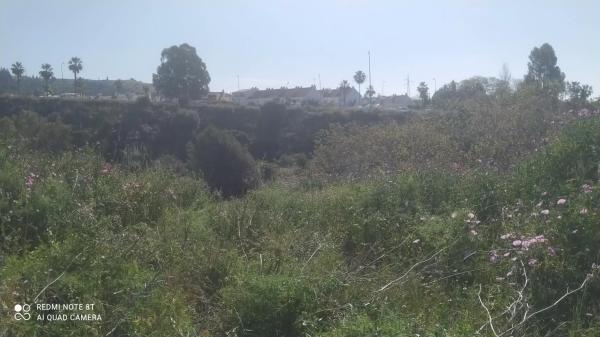 Terreno en Diseminado Poligono 06, 8