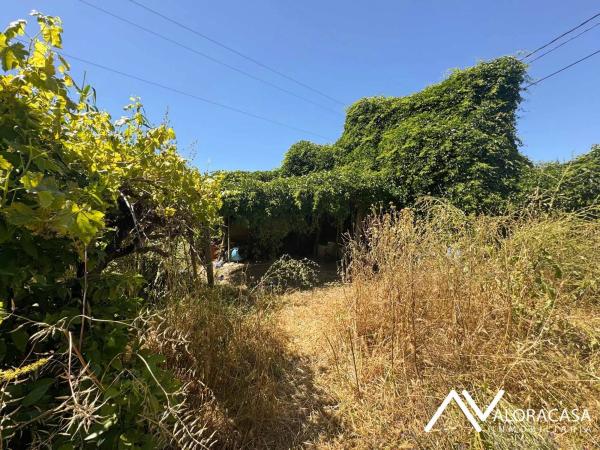 Terreno en Diseminado Poligono 25, 35