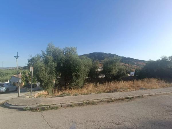 Terreno en calle Féliz Rodríguez de la Fuente