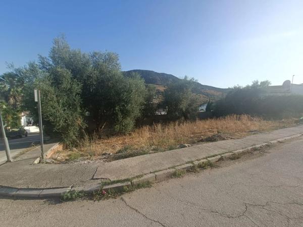 Terreno en calle Féliz Rodríguez de la Fuente
