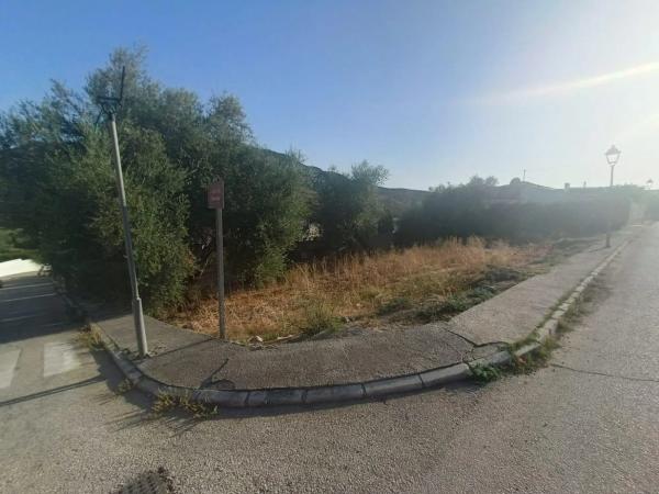 Terreno en calle Féliz Rodríguez de la Fuente