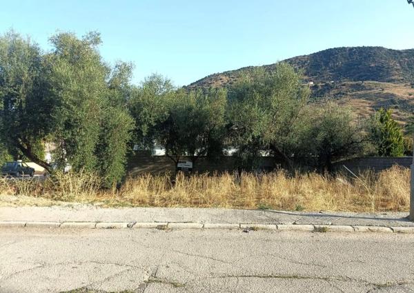 Terreno en calle Féliz Rodríguez de la Fuente