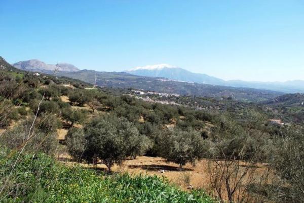 Terreno en calle Féliz Rodríguez de la Fuente