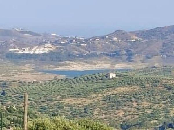 Terreno en calle Féliz Rodríguez de la Fuente