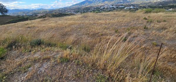 Terreno en Urbanización Loma del Flamenco