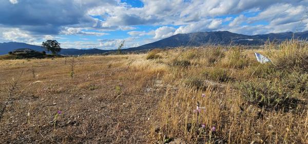 Terreno en Urbanización Loma del Flamenco