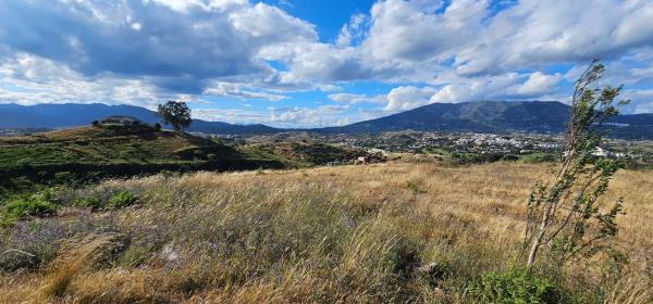 Terreno en Urbanización Loma del Flamenco
