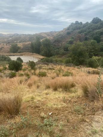 Terreno en Lugar Urbanizacion Cala Golf, 41 -c