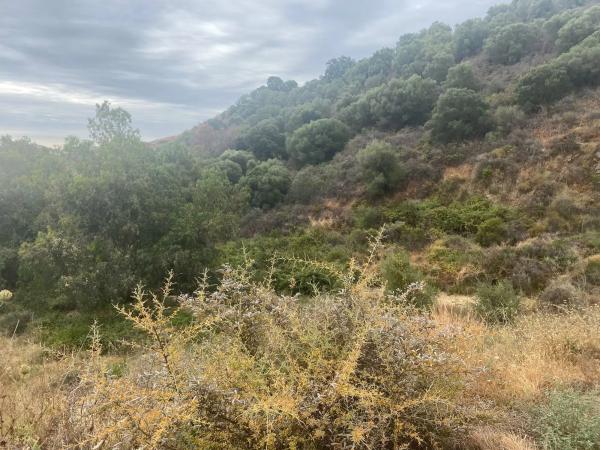 Terreno en Lugar Urbanizacion Cala Golf, 41 -c