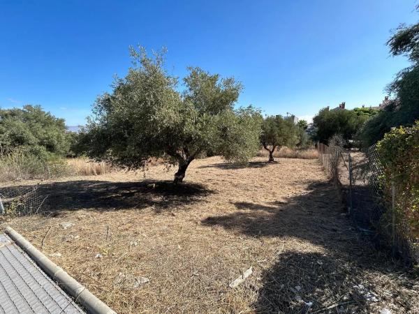 Terreno en calle Argelia, 20