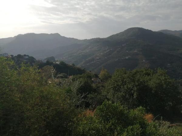 Terreno en colmenar, 2