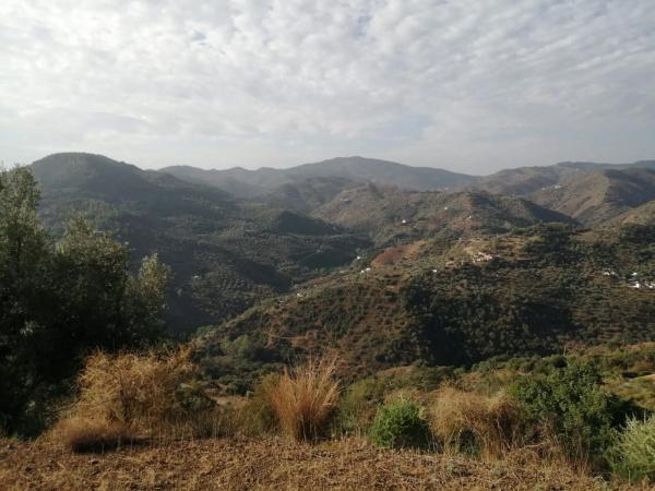 Terreno en colmenar, 2