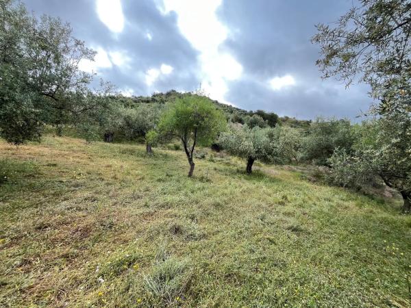 Terreno en El Terral, 247