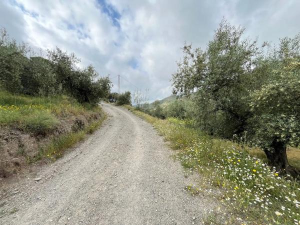 Terreno en El Terral, 247