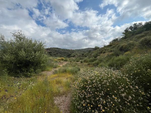 Terreno en El Terral, 247