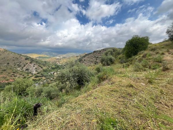 Terreno en El Terral, 247