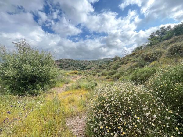 Terreno en El Terral, 247