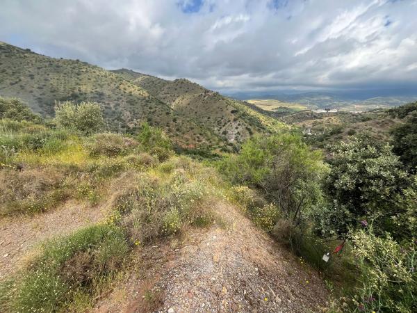 Terreno en El Terral, 247