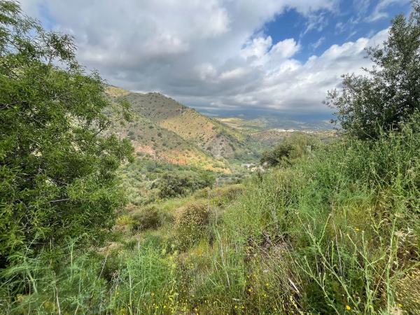 Terreno en El Terral, 247