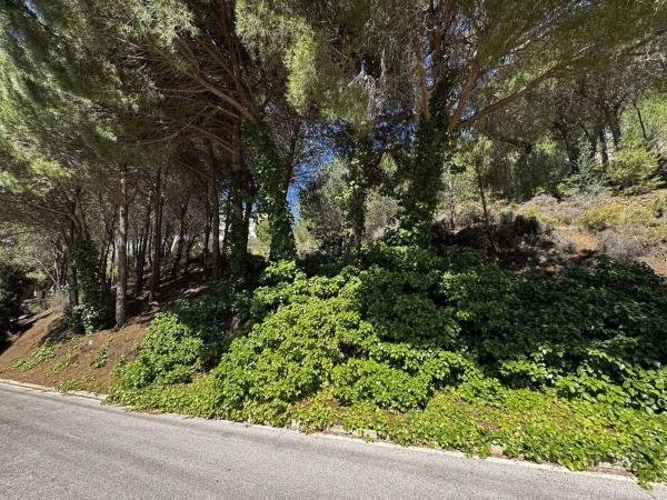 Terreno en camino de los Rios