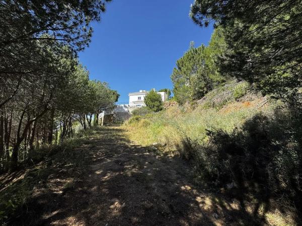 Terreno en camino de los Rios