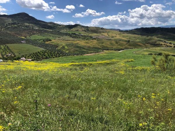 Terreno en Poligono 19 Parcela 111 s/n