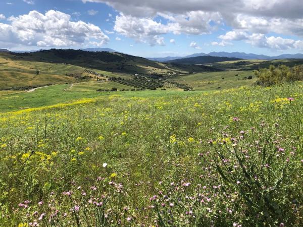 Terreno en Poligono 19 Parcela 111 s/n